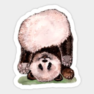 panda child showed Sticker